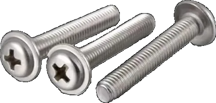 MS Screw