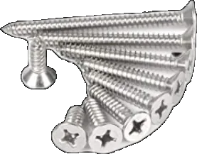 SS Screw
